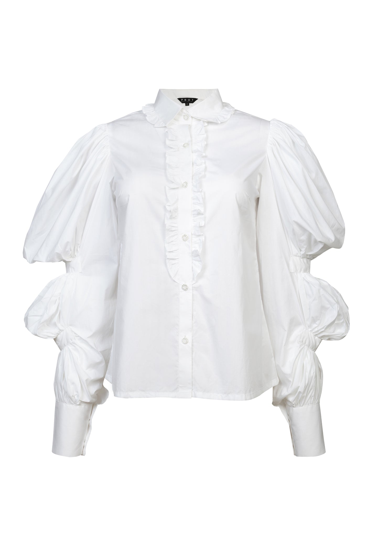 Gathered Volume Sleeves Shirt